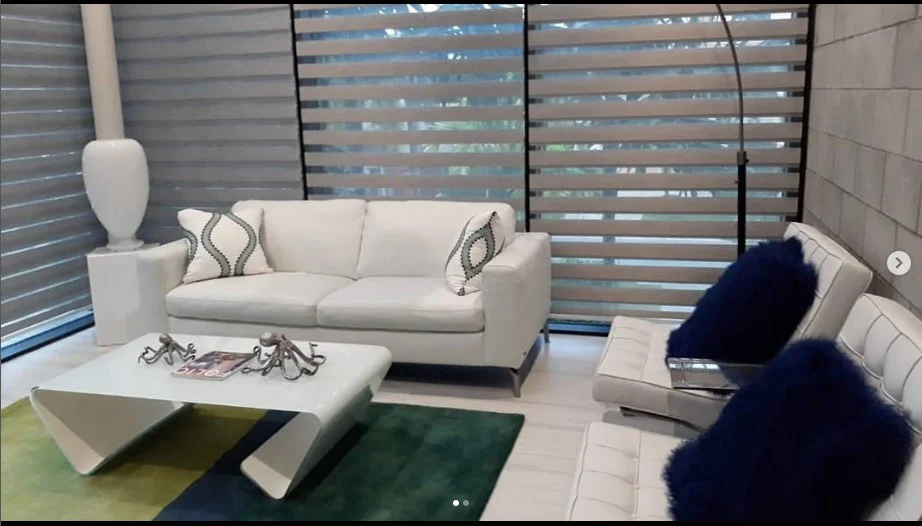 Modern zebra shades for a Florida home